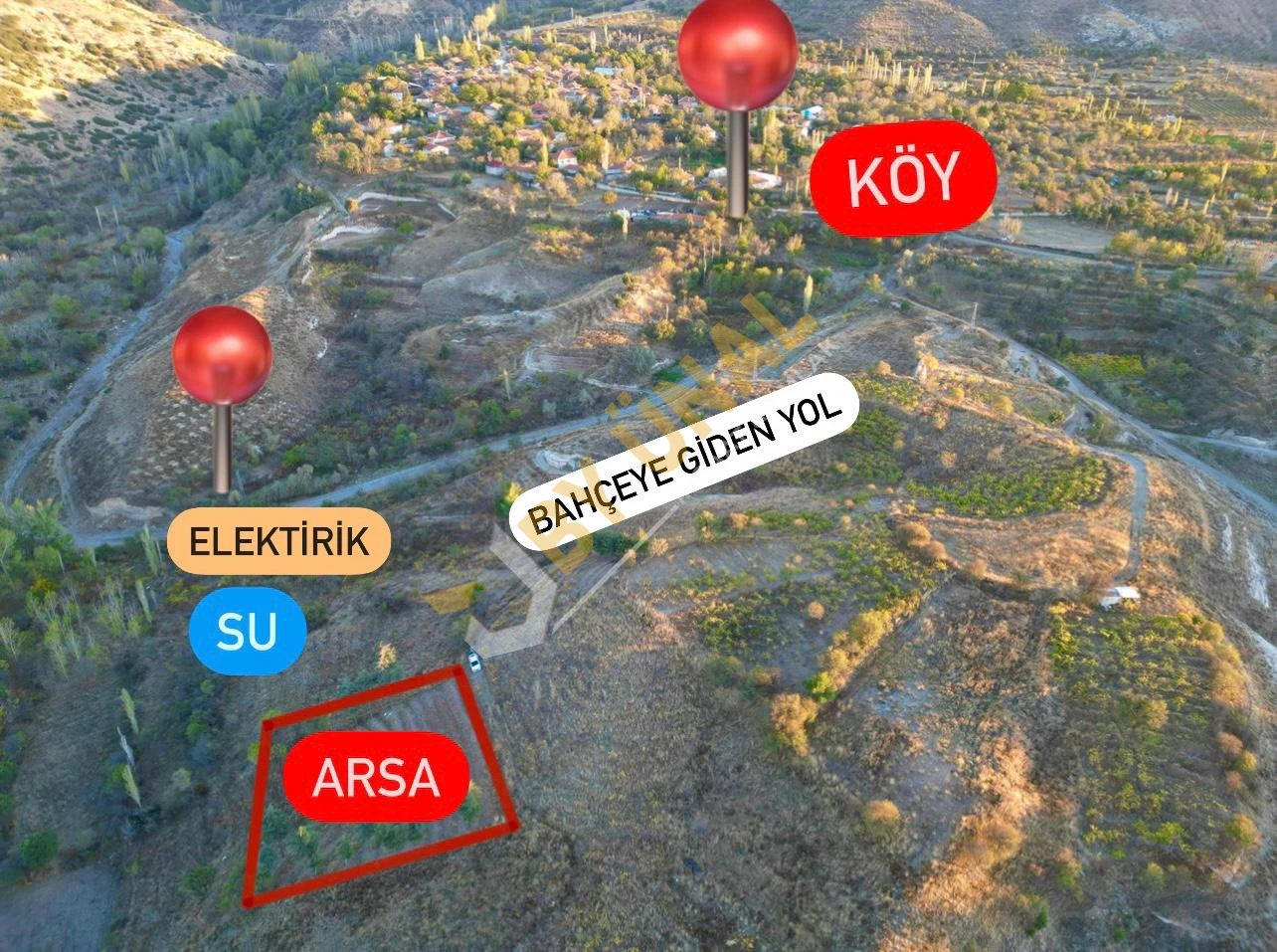 BY ÜNAL'DAN BURDUR GÜNALAN'DA SATILIK VERİMLİ ÜZÜM BAHÇESİ